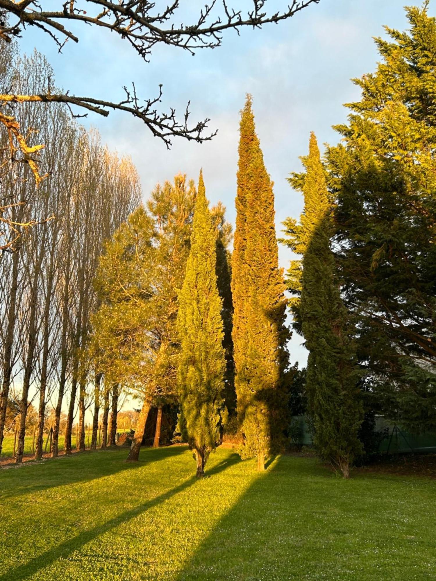 Domaine De La Gemoliere Bed and Breakfast Gémozac Exteriör bild